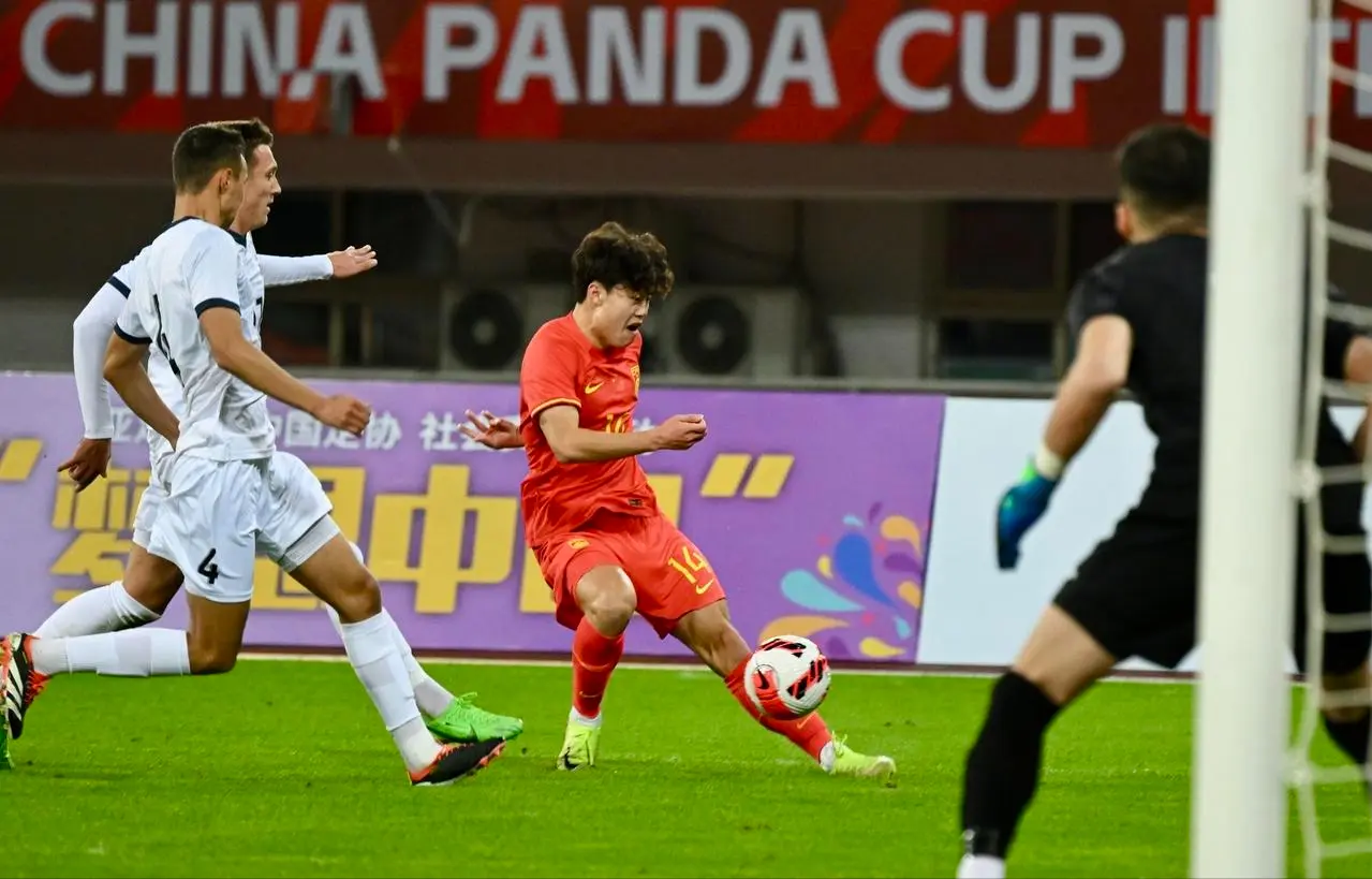 度参赛, amp, 队参加熊猫 度参赛, amp, 队参加熊猫