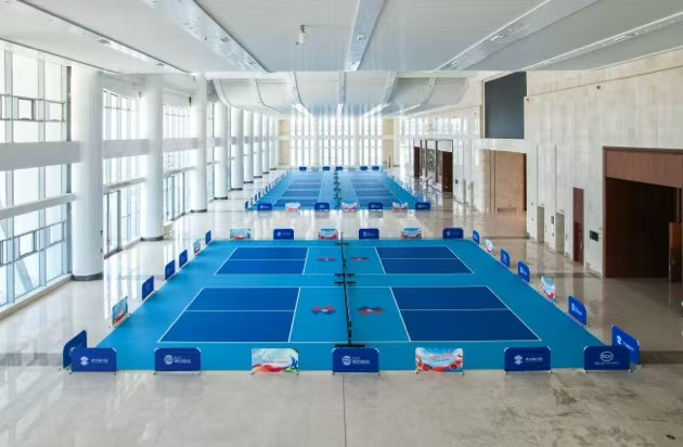 inlin, 毛球 inlin, 毛球